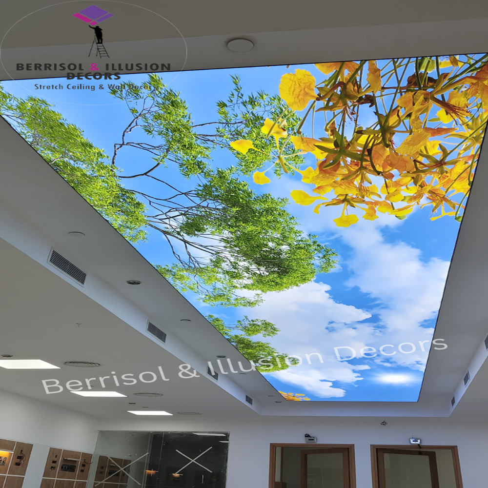 PRINTED STRETCH CEILING