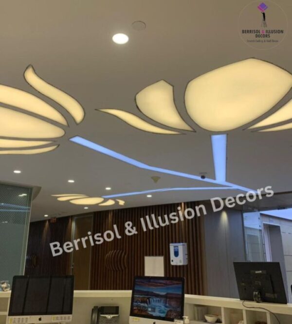 3D Graphic Stretch Ceiling