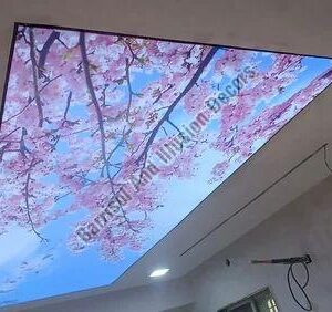 Hospital 3d Stretch Ceiling